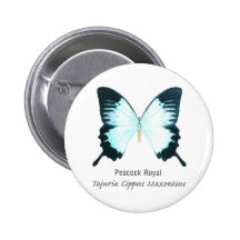 Peacock Royal Butterfly with Name Pinback Button