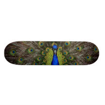 Peacock Skateboard