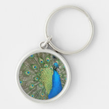 Peacock Strut Key Chains