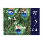 Peacock Wedding postcards