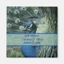 Peacock Wedding Save The Date Magnets