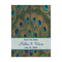 Peacock Wedding Save The Date Post Cards