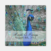 Peacock Wedding Theme 1 Magnets
