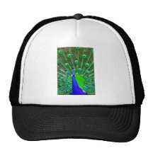 Peacock with fanned tail hats