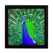 Peacock with fanned tail jewelry box