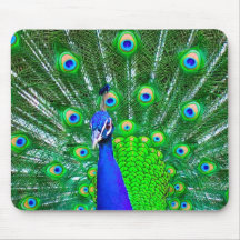 Peacock with fanned tail mouse pad