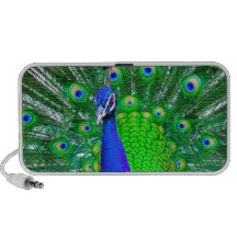 Peacock with fanned tail notebook speaker