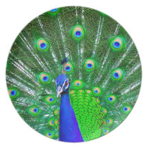 Peacock with fanned tail plate