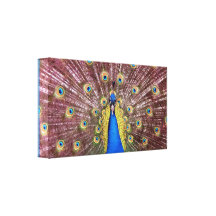 Peacock Wrapped Canvas Print