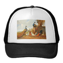 Peacocks and chickens mesh hats