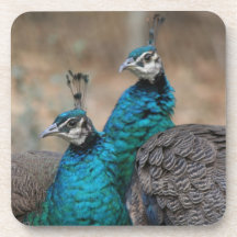 Peacocks Cork Coaster