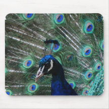Peafowl Bird Mouse Pad