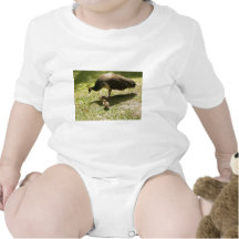 Peahen With Chicks Bodysuits