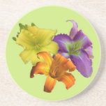 Peak Bloom Coaster