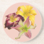 Peak Bloom Coaster