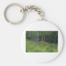 Peaking deer key chains