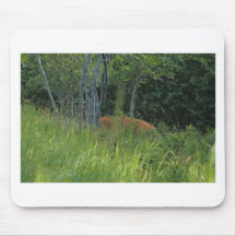 Peaking deer mouse pad