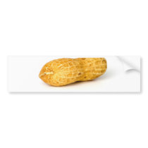 Peanut