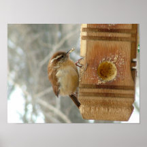 Peanut butter bird poster