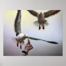 Peanut, Enyone? Print
