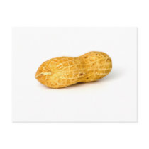 Peanut