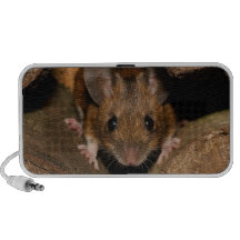 Peanut the Wood mouse Laptop Speakers