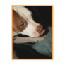 peanutbutter bowie postcard