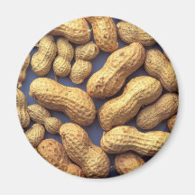 Peanuts Magnets