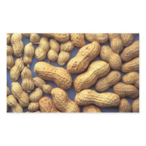Peanuts Rectangle Stickers