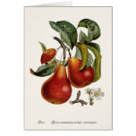 Pear Greeting Cards