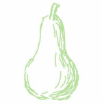 Pear Sketch. Line drawing in light green. photo sculptures