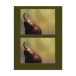 Pear, Still Life, Photography, colour, template postcards