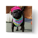 Pearl - Pug and Boston Terrier Mix Breed Photo-08 Pinback Buttons