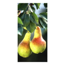Pears Personalized Photo Card