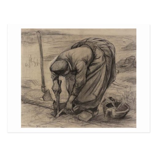 Peasant Woman Planting Beets, Vincent van Gogh Postcards