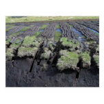 Peat Cutting In Ireland Post Cards