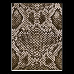 peau de serpent cartes postales