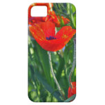 peau d'iphone d'une fleur de pavot coque iPhone 5