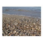 Pebble Seashore Postcard
