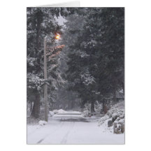 Pebbles Beach Winter Scene 1 Greeting Cards