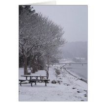 Pebbles Beach Winter Scene 2 Greeting Cards