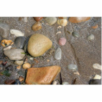 Pebbles On The Beach With A Tiny Crab Cut Outs