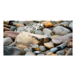 Pebbles Photo Greeting Card