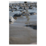 Pebbles Stationery Design