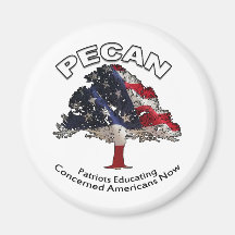 PECAN REFRIGERATOR MAGNETS