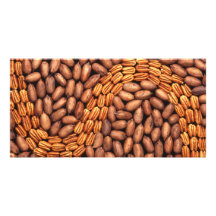 Pecans Photo Card Template