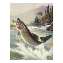 Pêche vintage de pêcheur de poissons de truite arc carte postale