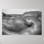 Pecs & Abs Poster posters