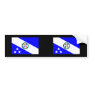 Pederneiras, Brazil Bumper Stickers