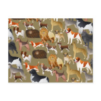Pedigree Dog Wallpaper Post Card